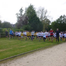 2016 scholenveldloop  194 - Sportraad Zaventem 
